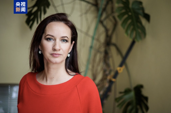 鼎坤策略 鲁吉涅内将任立陶宛总理